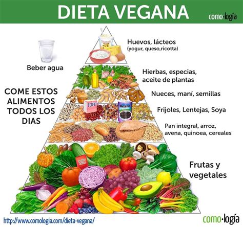 Grupos de alimentos veganos