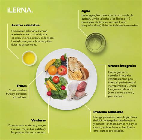 Guía de alimentación