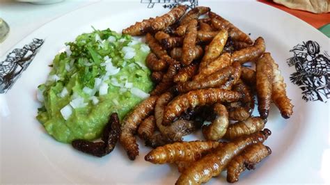 Gusano de maguey