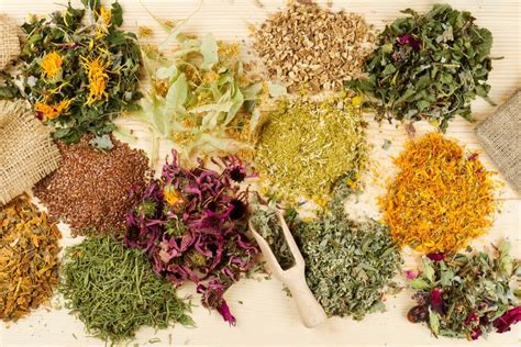 Hierbas Medicinales