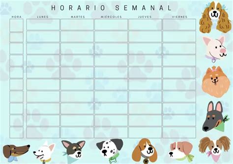 Horario de Comida para Perros