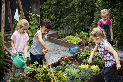 Huerto escolar y niños