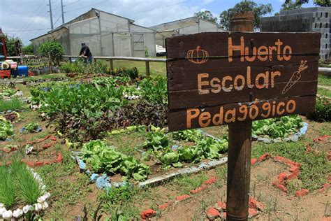 Huertos Escolares