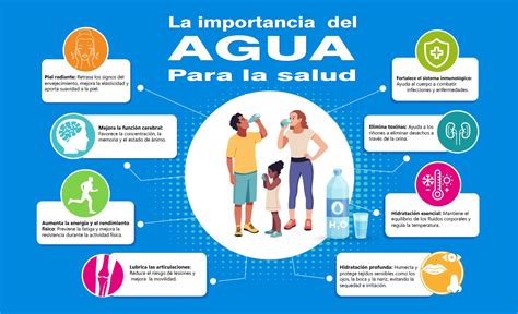 Importancia del agua