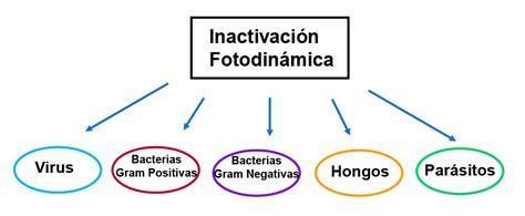 Inactivación fotodinámica