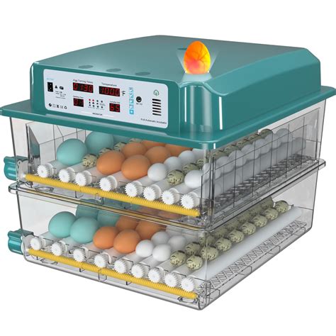 Incubadora de huevos