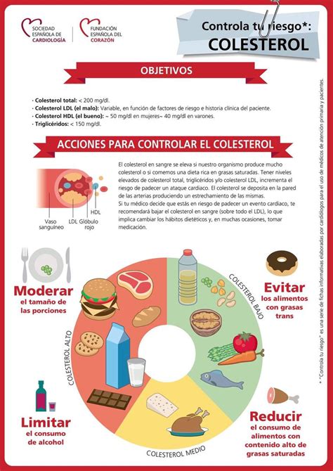 Infografía Colesterol