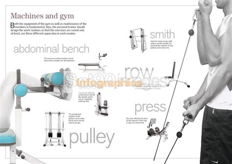 Infografía comparando máquinas de gimnasio