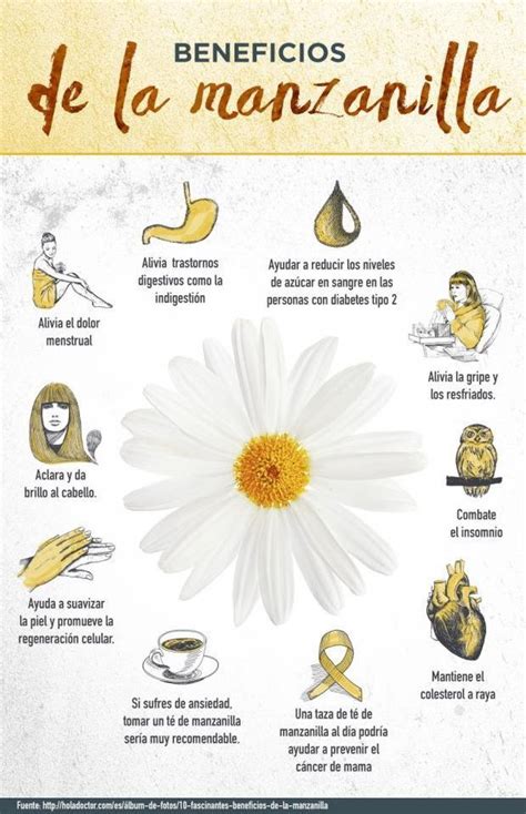 Infografía de Manzanilla