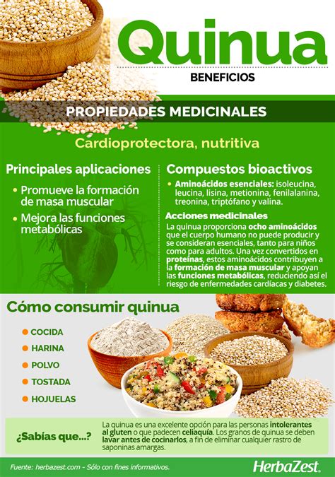 Infografía de beneficios de la quinoa