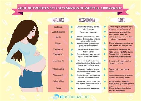 Infografía de ingesta de proteinas durante el embarazo