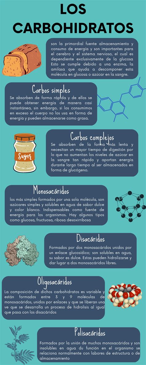 Infografía de la Dieta de los Carbohidratos Lentos