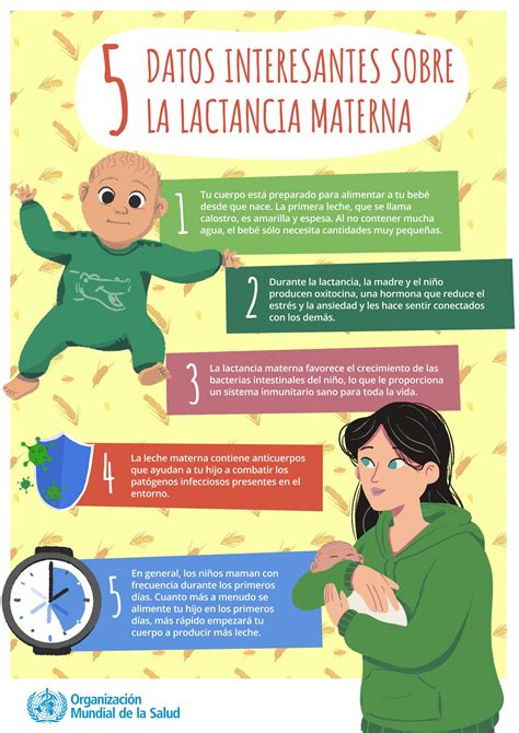 Infografía de la OMS sobre la lactancia materna