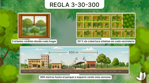 Infografía de la regla 30-30-30