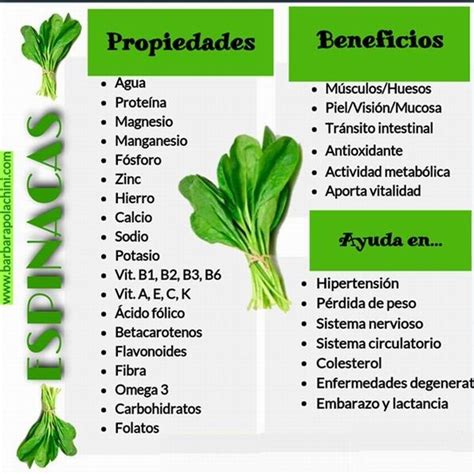 Infografía de las propiedades de la espinaca