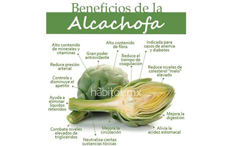Infografía de los beneficios de la alcachofa