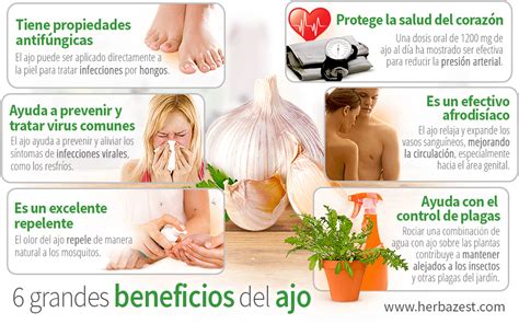 Infografía de los beneficios del ajo