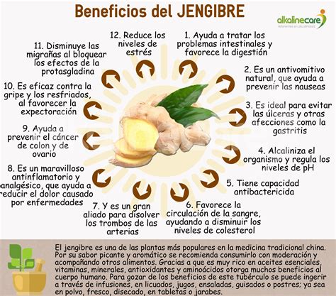 Infografía de los beneficios del limón y el jengibre