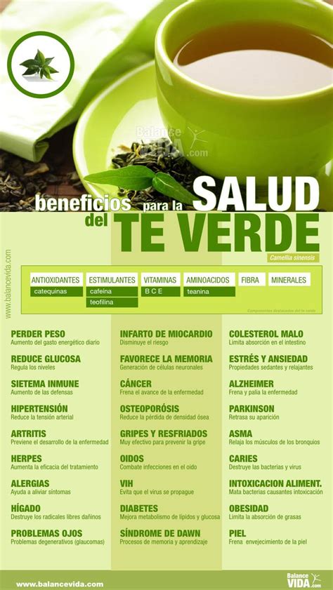 Infografía de los beneficios del té verde