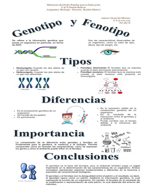 Infografía de los genotipos y sus características