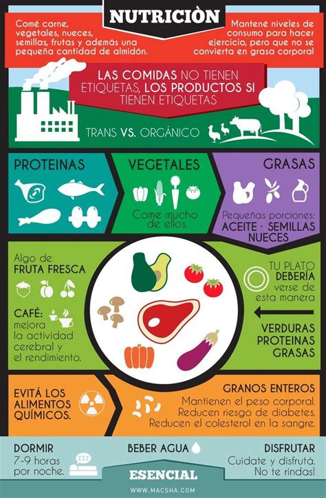 Infografía de nutrición deportiva
