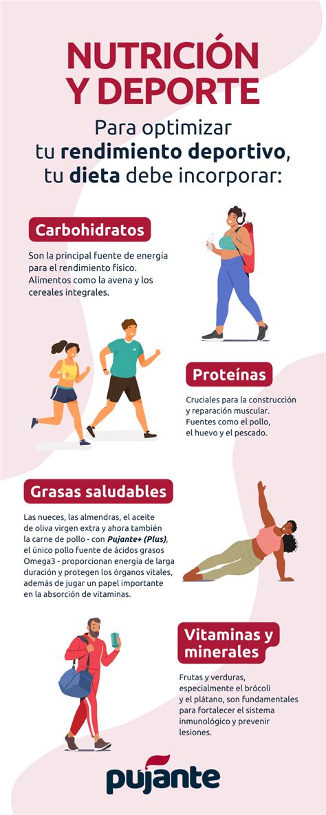 Infografía de nutrición deportiva para el rendimiento