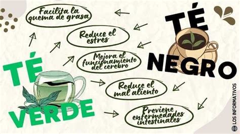Infografía del Té Negro