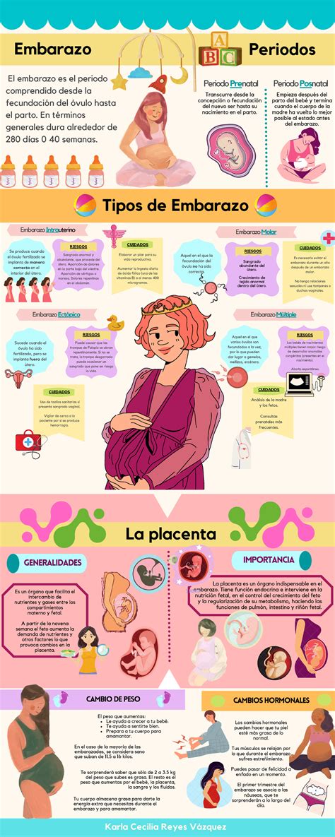Infografía del embarazo