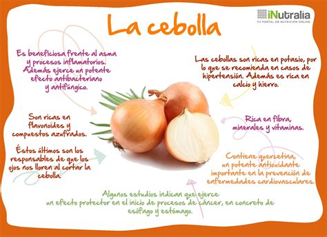 Infografía nutricional de la cebolla