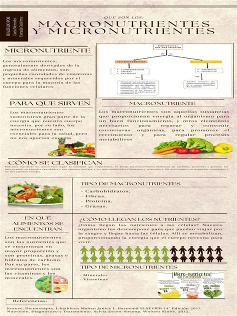Infografía sobre deficiencias de micronutrientes