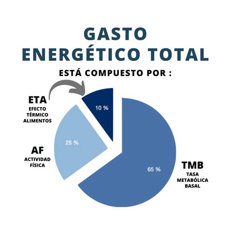 Infografía sobre el gasto energético total