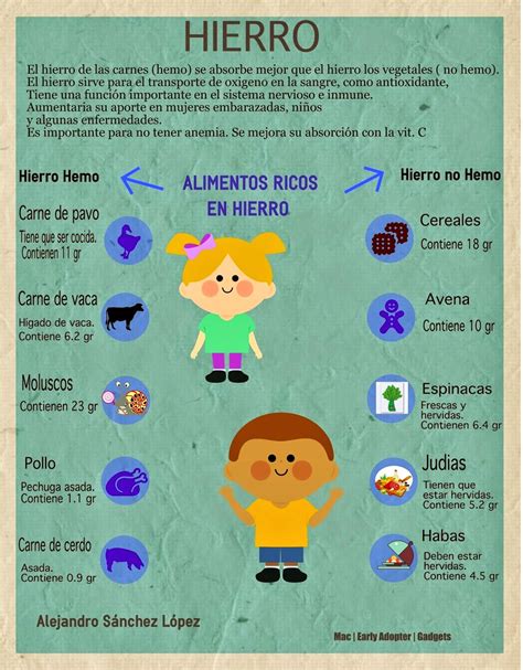 Infografía sobre el hierro