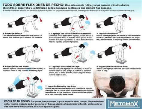 Infografía sobre flexiones