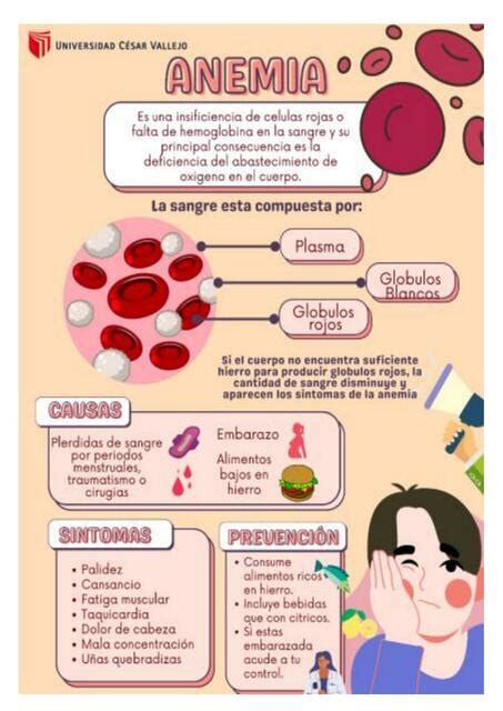 Infografía sobre la anemia