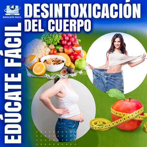 Infografía sobre la desintoxicación del cuerpo