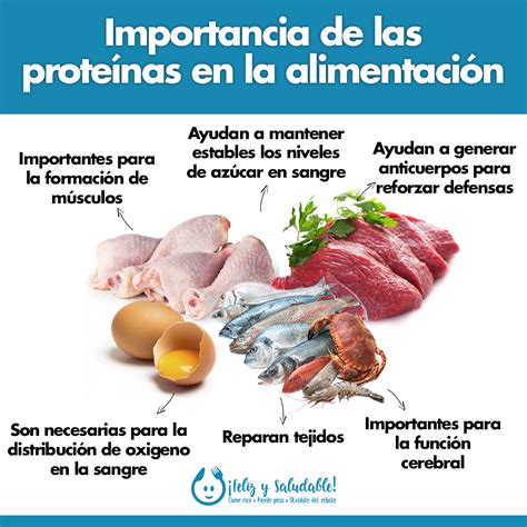 Infografía sobre la importancia de la proteína en la dieta