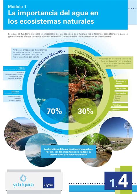 Infografía sobre la importancia del agua