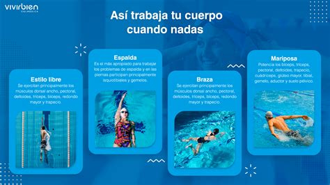 Infografía sobre la natación deportiva