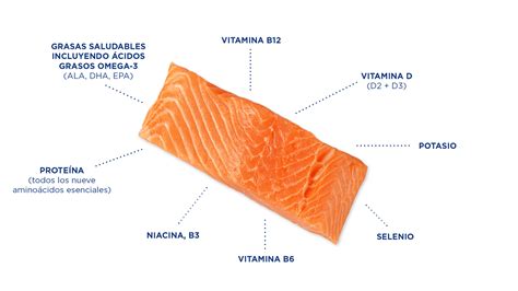 Información nutricional del salmón