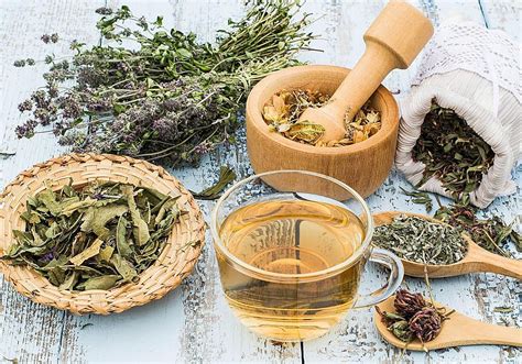 Infusión de hierbas