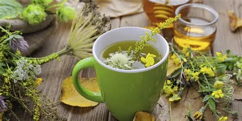 Infusiones de hierbas