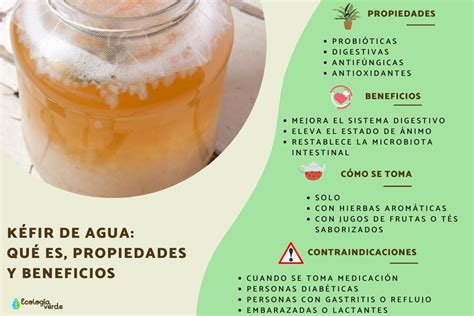 Kéfir de Agua