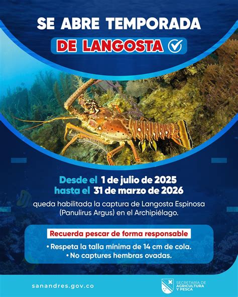 Langosta en San Andrés