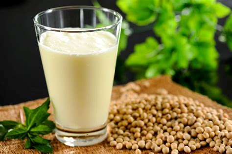Leche de soya