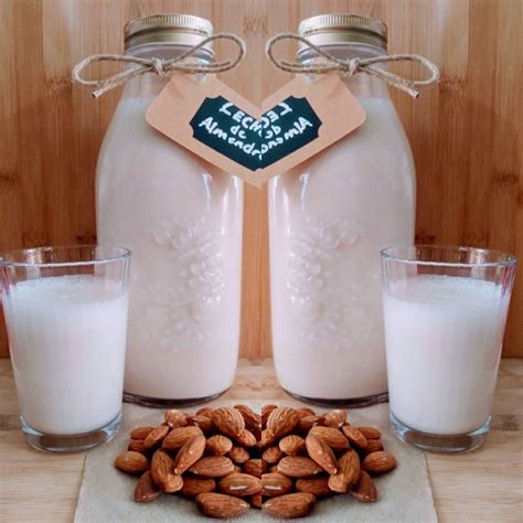 Leches Veganas Caseras