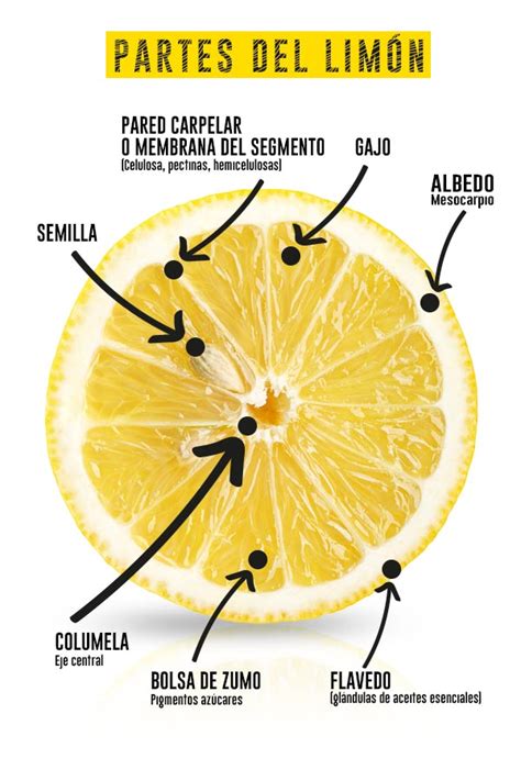 Limón y sus componentes