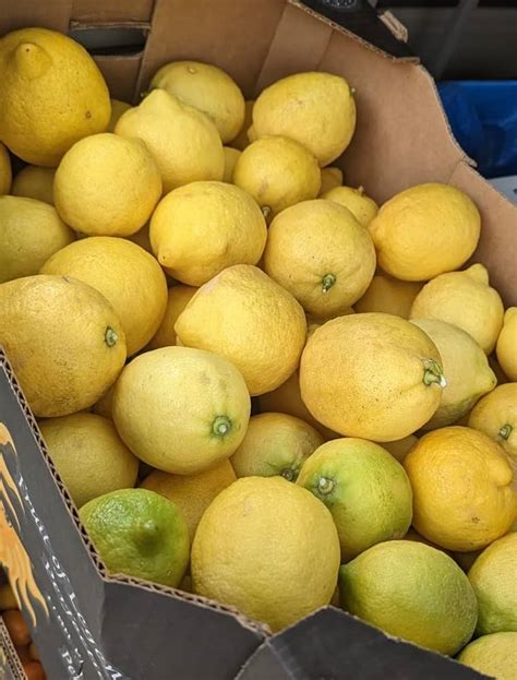 Limones Sicilianos