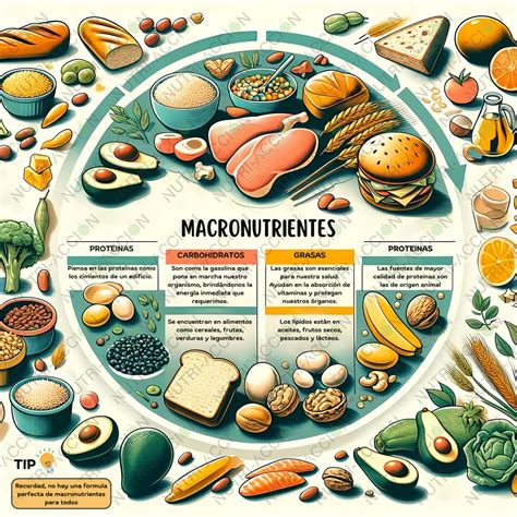 Macronutrientes esenciales