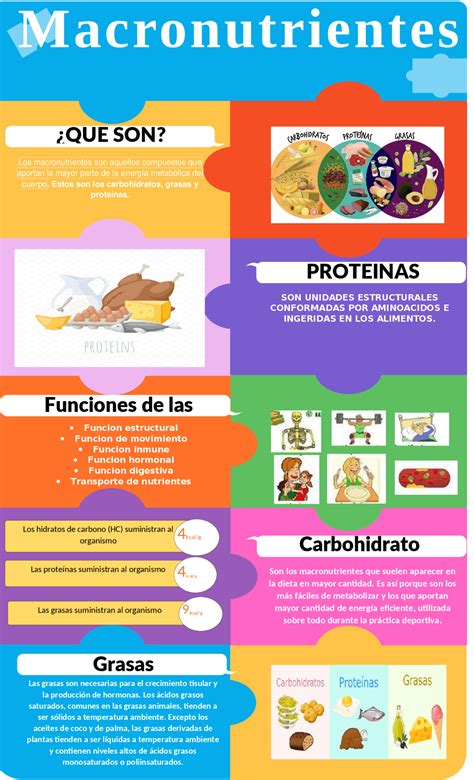 Macronutrientes infografía