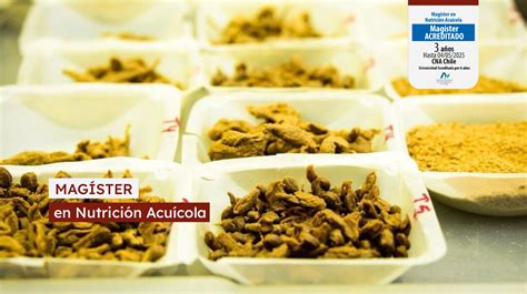 Magíster en Nutrición
